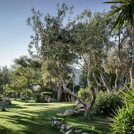 Cruccuris - Adults Only ヴィッラシミーウス