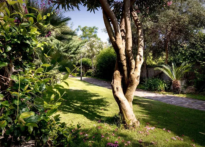 Cruccuris - Adults Only Hotel Villasimius