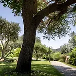 Cruccuris - Adults Only 4* Villasimius