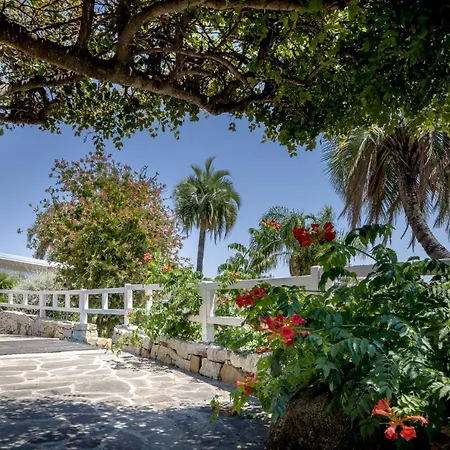 Cruccuris - Adults Only 4*