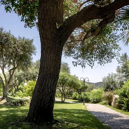 Cruccuris - Adults Only 4* 维拉西米乌斯