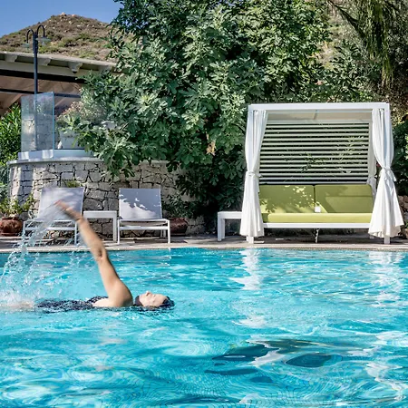 Cruccuris - Adults Only 4*