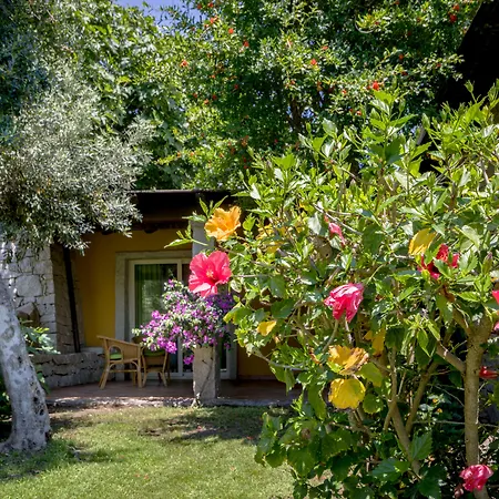 酒店 Cruccuris - Adults Only 维拉西米乌斯