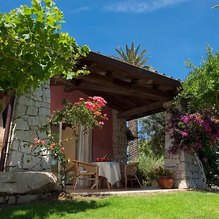 Cruccuris - Adults Only 维拉西米乌斯