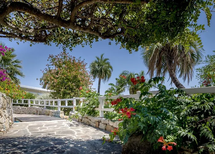 Cruccuris - Adults Only 4*