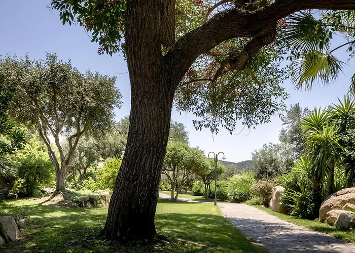 Cruccuris - Adults Only 4* Villasimius