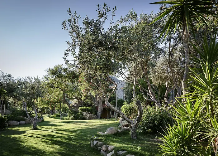 Cruccuris - Adults Only ヴィッラシミーウス